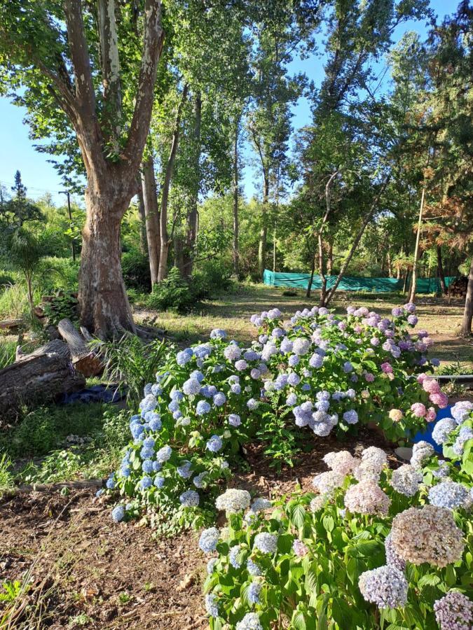Casa Eden Exclusiva Y Comoda Casona De Descanso A Tan Solo 1 Hora De Bs As Villa Tigre Dış mekan fotoğraf